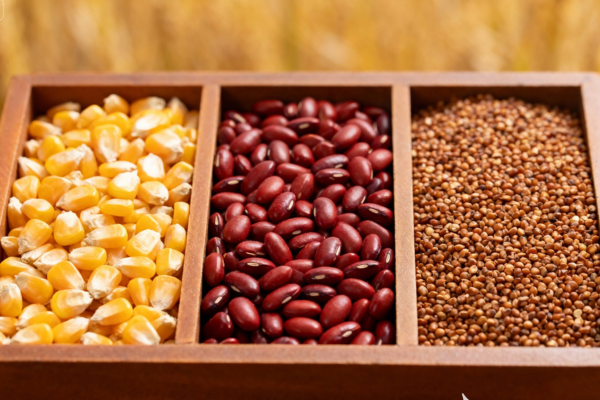 Argila como protetor de sementes